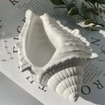 Ракушка "Essence" Ocean - Подставка