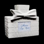 Dior “Essence” Charm – Шкатулка — изображение 2