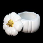 Тыковка большая “Botanica” Enchant – Шкатулка — изображение 3